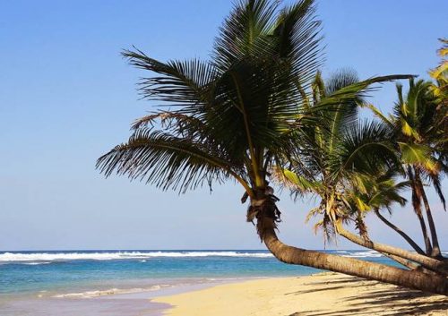 Punta Cana é com a King Travel